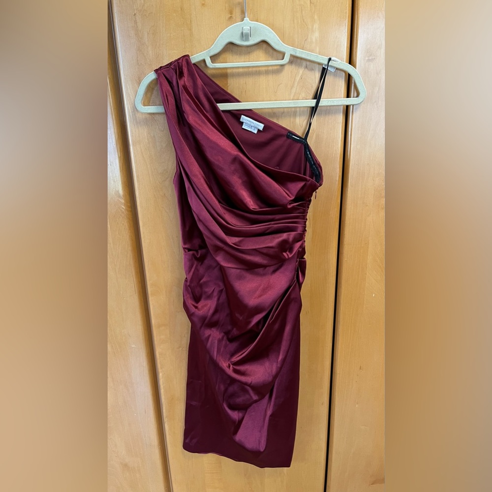 One Should  Burgundy Dress